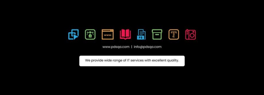 Professional Digi Slutions