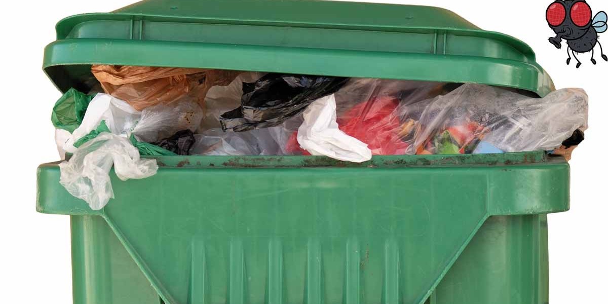 Bright Bins – Professional Bin Cleaning for a Healthier Home