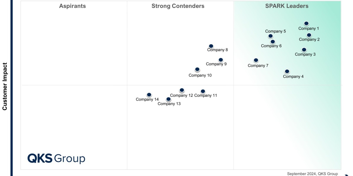 SPARK Matrix™: Customer Analytics Service Providers