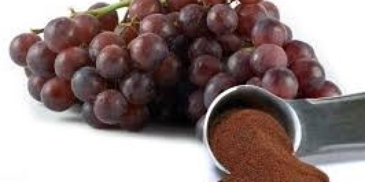 Grape Skin Extract Market Forecast Projects Steady Growth Through 2031 Horizon