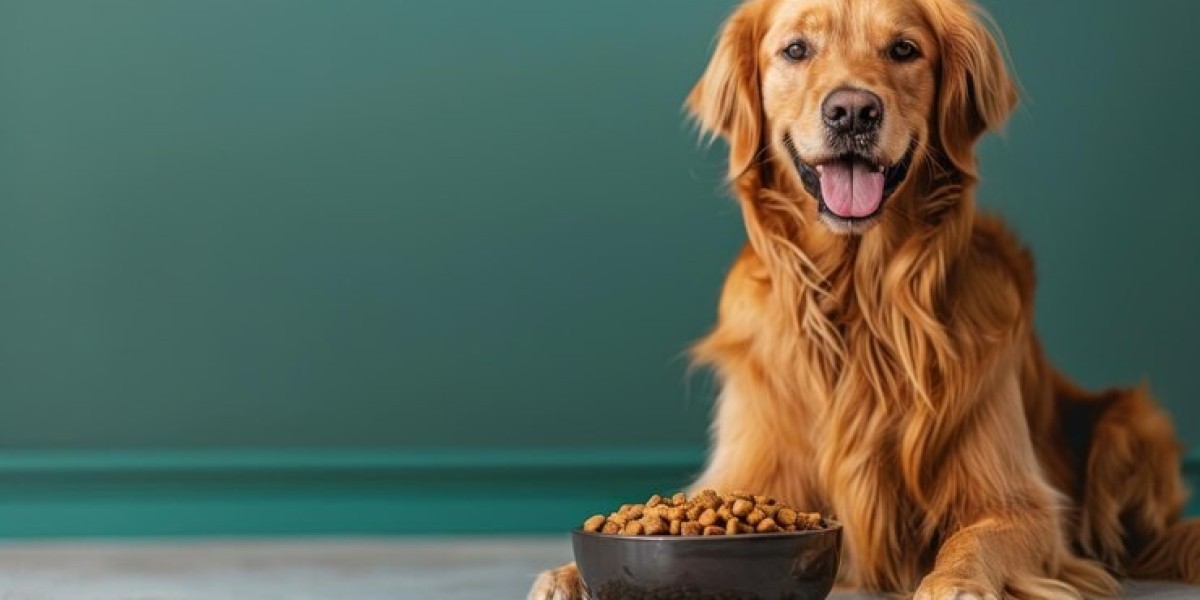 How to Spot Nutritional Gaps in Your Pet's Current Diet