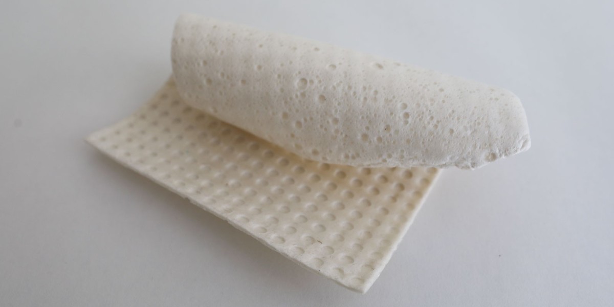 Bio-Based Foam Market Forecast Assessing Future Adoption Innovation Scale And Regional Expansion Market Forecast