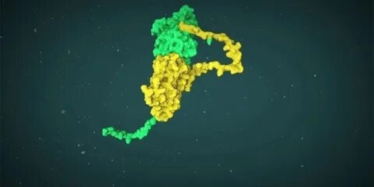 Global Afatinib Dimaleate Tablets Market (2025–2031) | Market IntelliX Research
