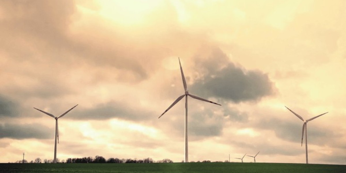 Leadership Insights on Financing Pathways for Fossil to Renewable Energy