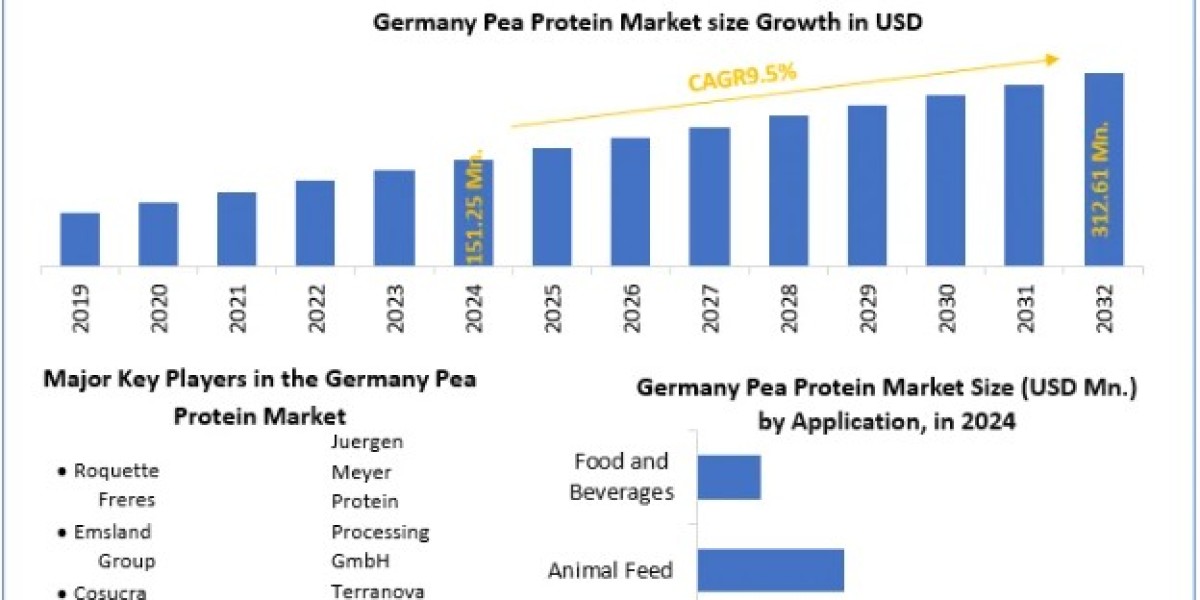 German Pea Protein Market Global Size, Leading Players, Analysis, Sales Revenue and Forecast 2032