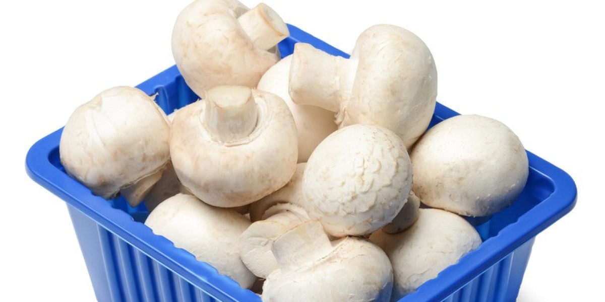 Mushroom Packaging Market Innovations Driving Biodegradable and Compostable Product Development