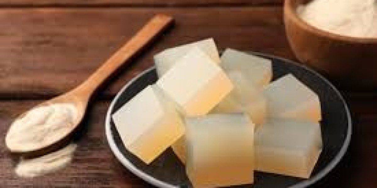 Gelatin Substitutes Market Segmentation Analysis by Source Application Outlook
