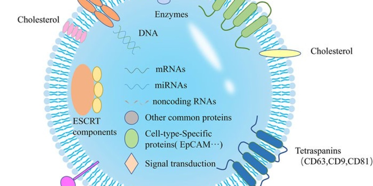 Exosome Technologies Market: The Rise of Nature-Inspired Precision Medicine
