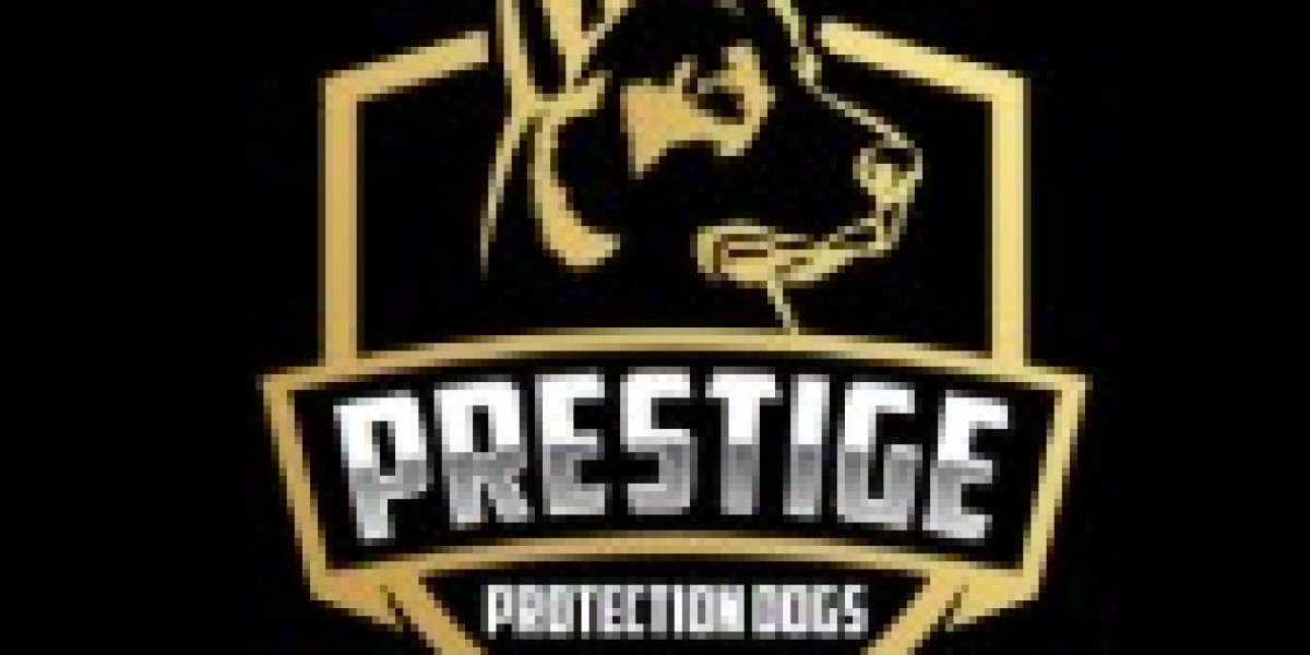 Rottweiler Protection Dogs for Sale in USA: A Trusted Guardian for Family and Personal Security
