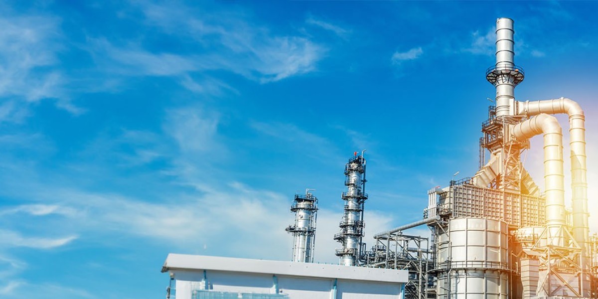 Top 20 Companies in Global  Petroleum Coke Market 2025: Preparing for the Unpredictable Future