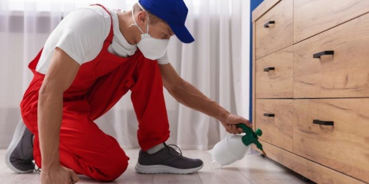 Professional Pest Removal Canterbury Services for Homes and Businesses