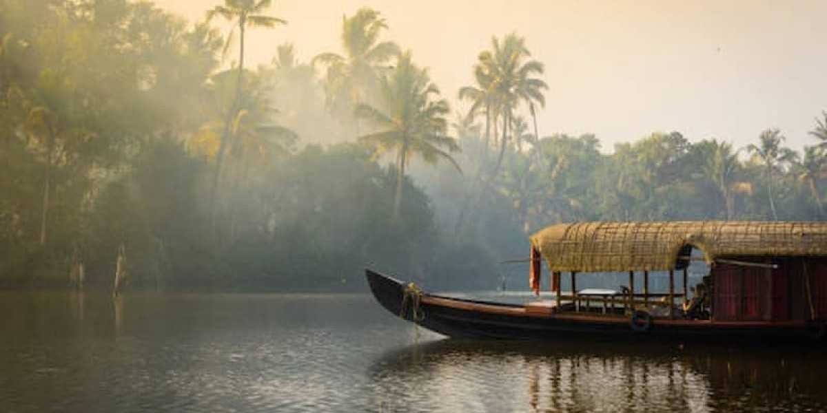 Kerala Tour Guide: Backwaters, Beaches & Hill Stations in One Trip