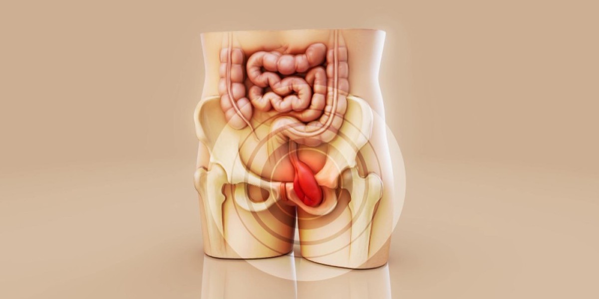 Exploring Short Bowel Syndrome: Market Insights, Research, and Emerging Trends
