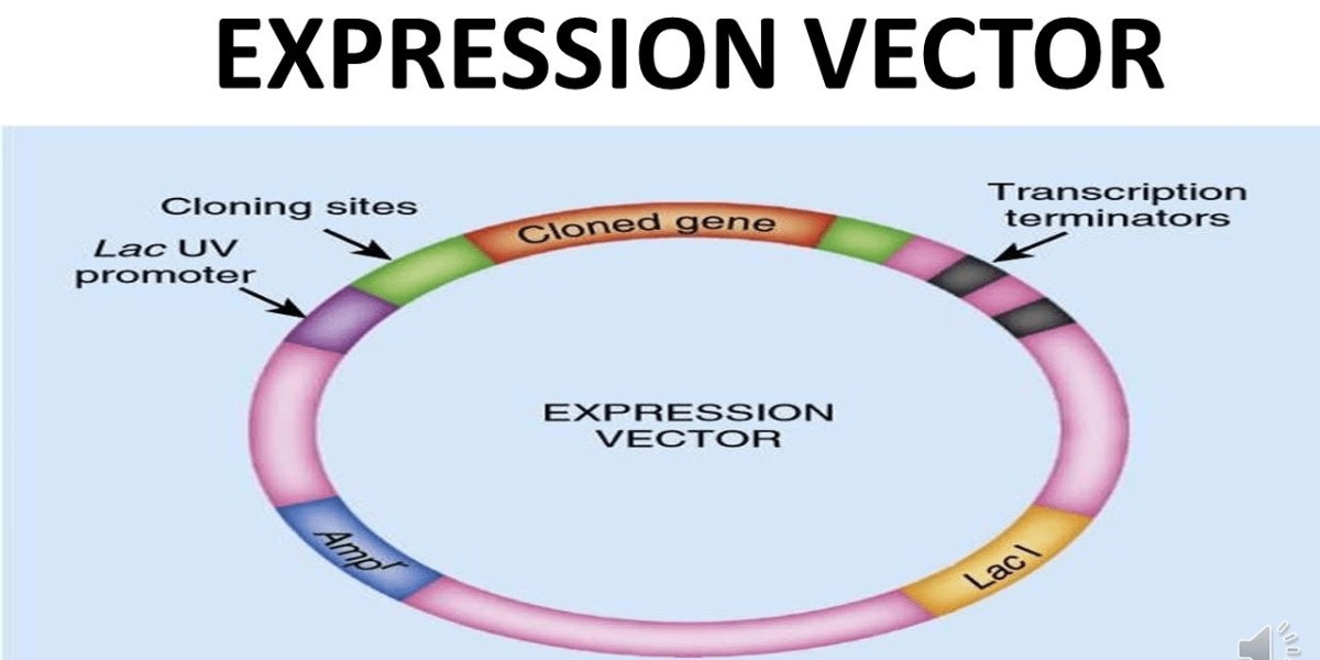 Global Expression Vectors Market Analysis