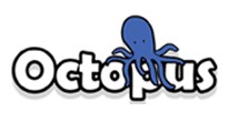 Octopus Bridge