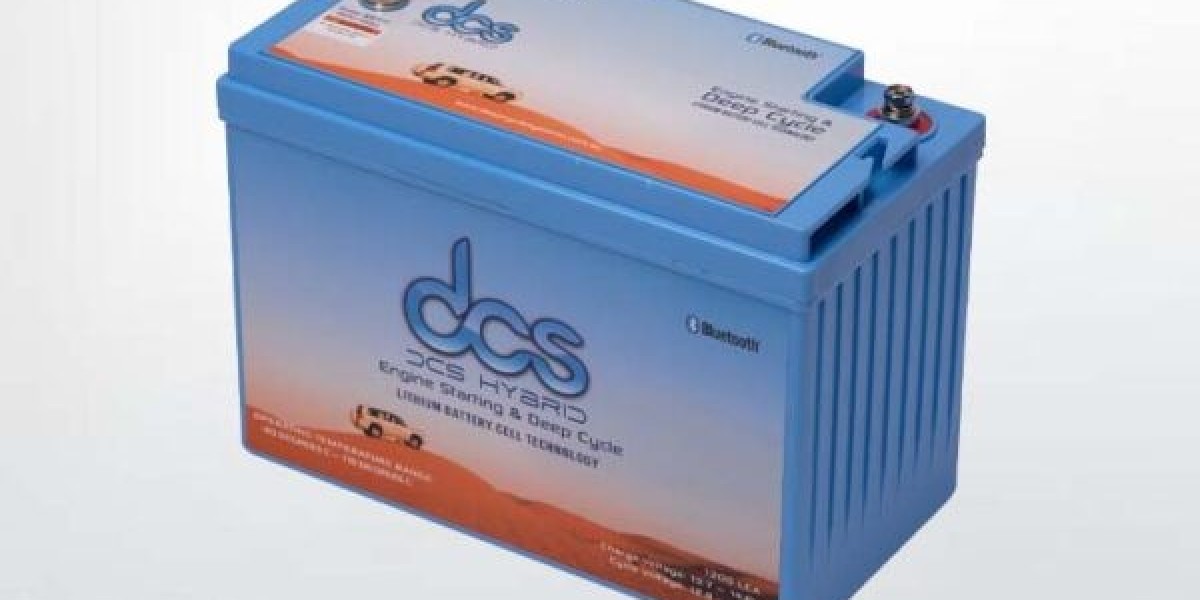 Lithium Ion 12V 100Ah Battery: Use & Maintenance Guide