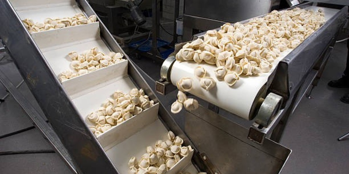 Food Processing Automation Market Growth Opportunities: Innovation & Digital Transformation