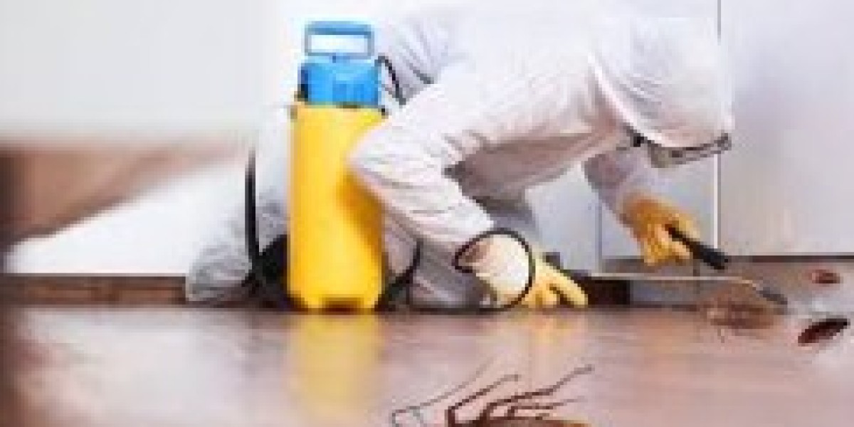 Pest Control Dubai: Complete Guide to Safe and Effective Pest Management