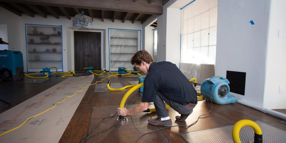 Protect Your Property with Expert Water Cleanup Service KyleTX