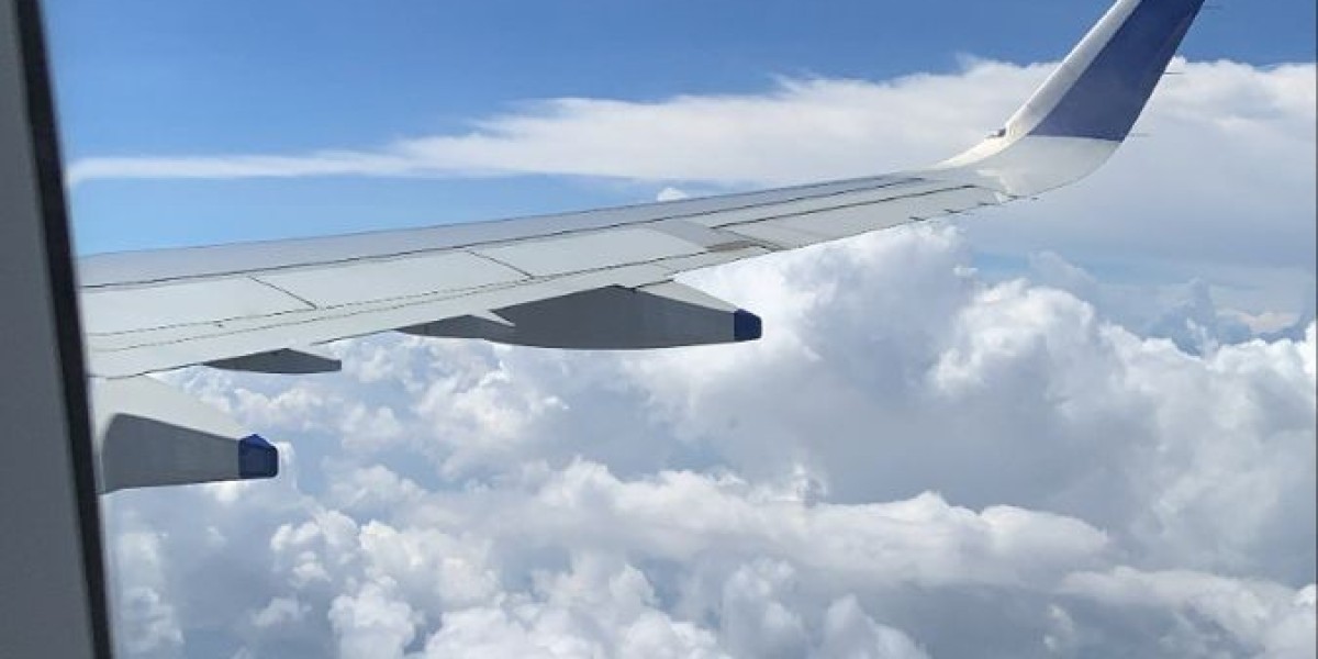 Where Does Gol Airlines Fly