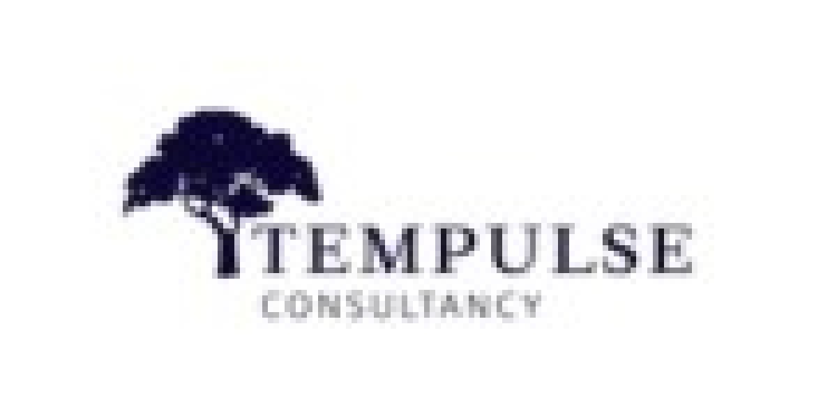 Professional International Business Expansion Consulting Solutions