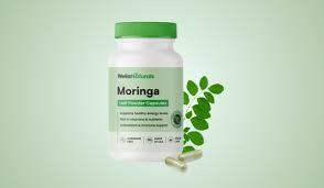 Glorenda Moringa Patch Reviews