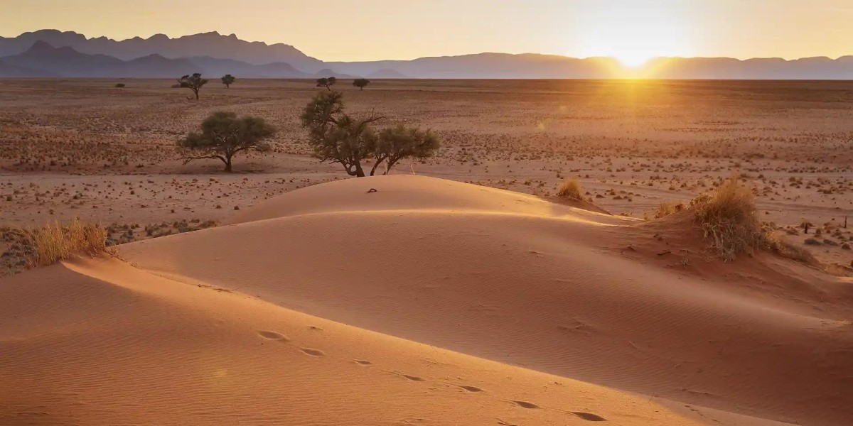 Safari Tours in Africa with African Travel Discover South Africa’s Wild Beauty