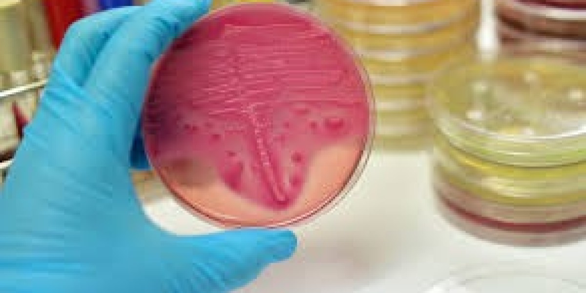Bacterial Disease Diagnostics Market Size Share Growth Forecast 2034
