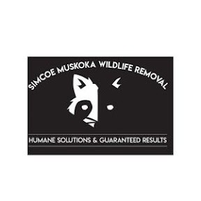 Simcoe Muskoka Wildlife Removal
