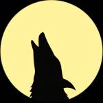 Al Dawson profile picture