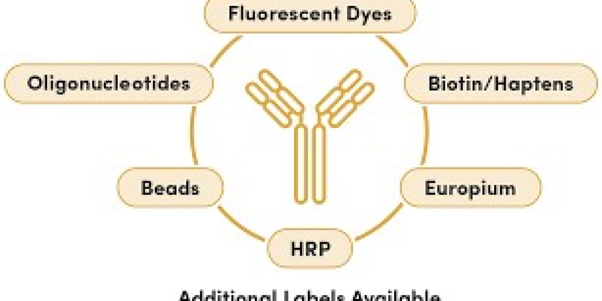 Global Conjugation Labeling Service Market Set for Strong Growth Through 2033 with Rising Demand Across Diagnostics &amp