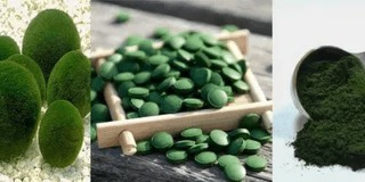 Global Chlorella Ingredients Market Industry Overview