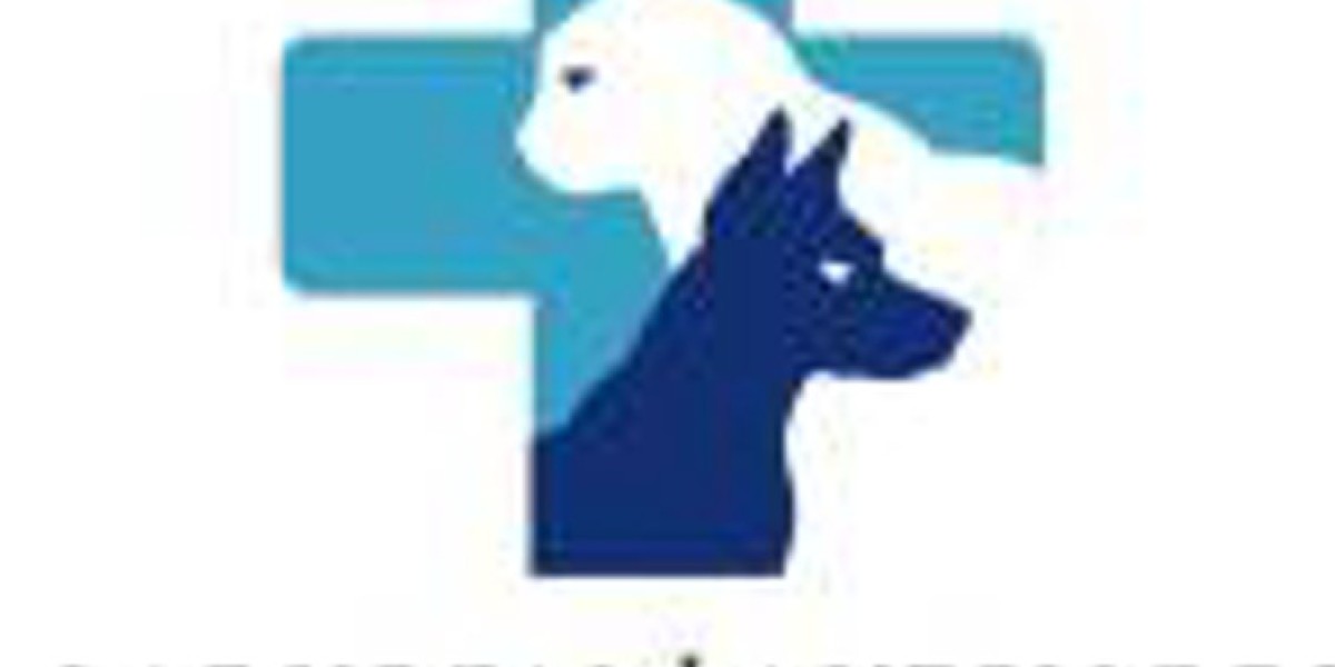 How Modern Veterinary Care Is Evolving to Support Pet Wellbeing