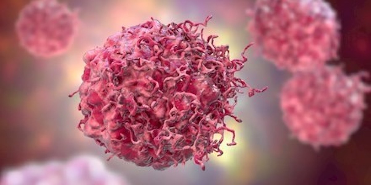 Global Small Molecule Inhibitors for METex14 Skipping Market (2025–2031) | Market IntelliX Research