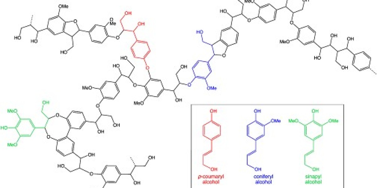 Bio-based Aromatics Market: Accelerating the Green Chemistry Revolution