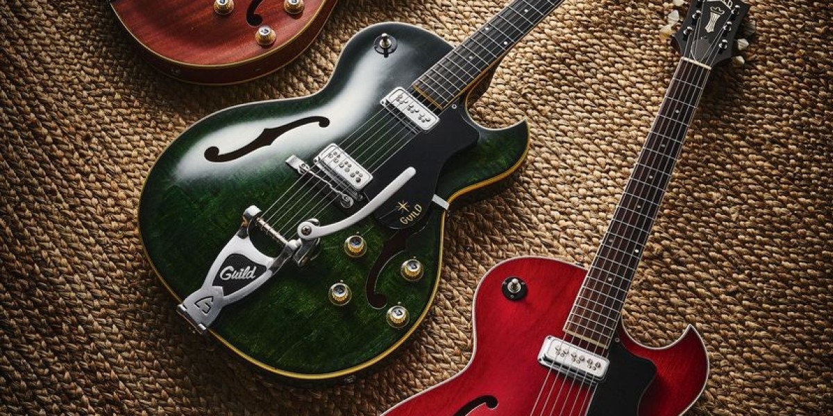 Top 20 Companies in United States Guitar  Market 2025: Preparing for the Unpredictable Future