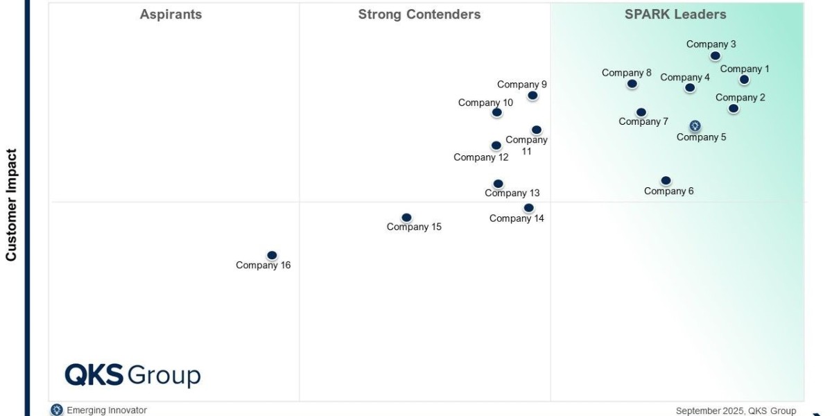 SPARK Matrix™: Digital Marketing Analytics