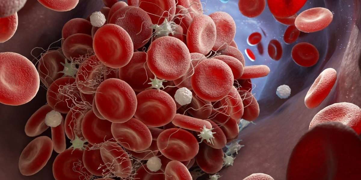 Neisseria Gonorrhoeae: Causes, Symptoms, and Modern Treatment Approaches