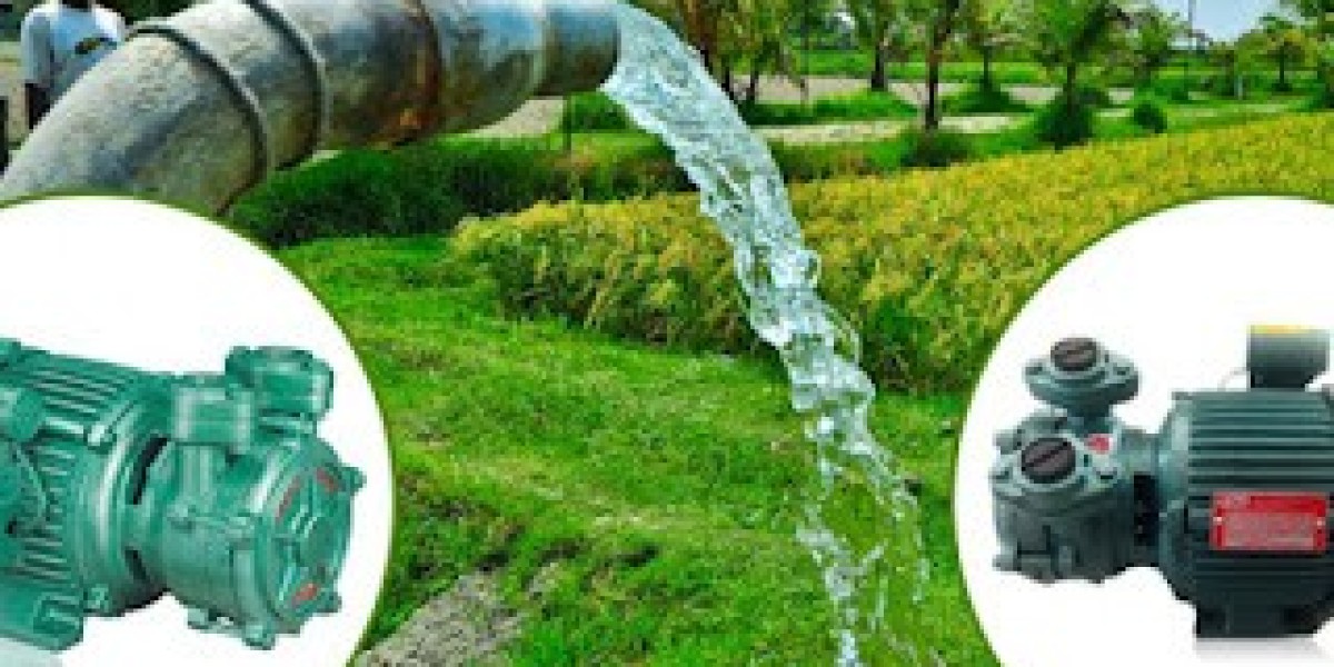 Agriculture Pumps Market Analysis, Growth Trends & Forecast to 2033