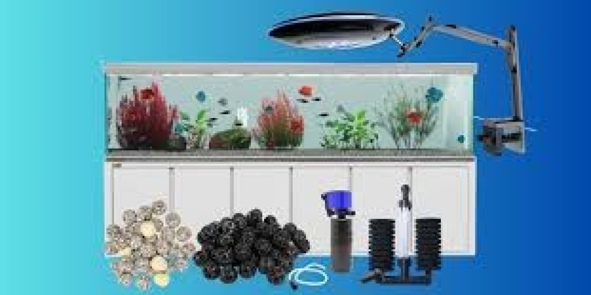 Fish Supplies: A Complete Guide for a Healthy and Beautiful Aquarium