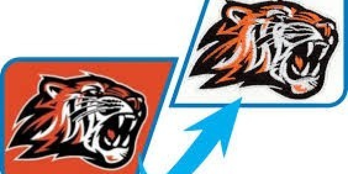 Machine Ready Embroidery Digitizing Service with Density & Pattern Control