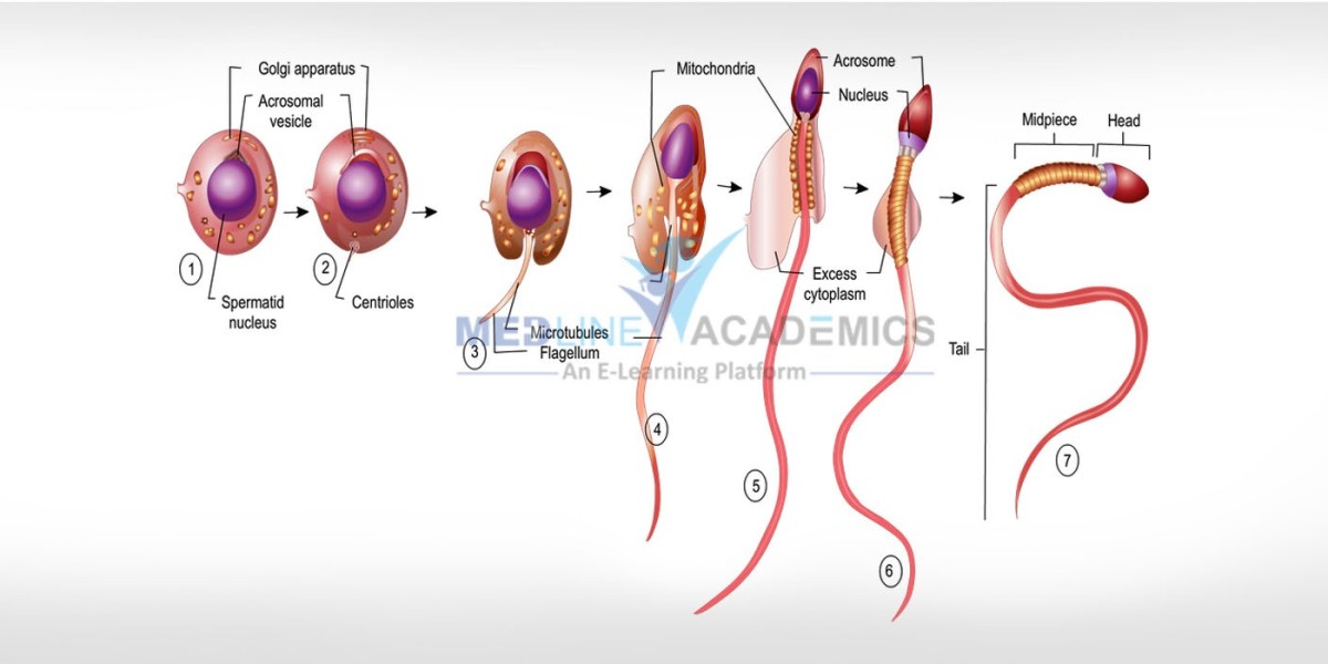 Basic and Advanced Andrology Courses by Medline Academics
