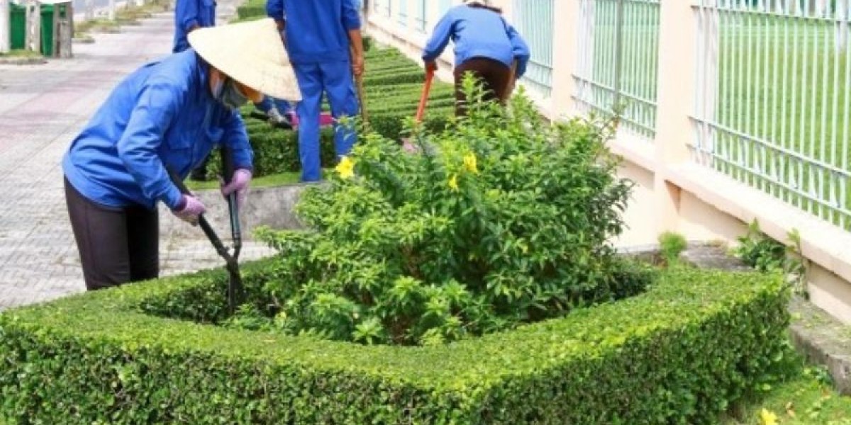 Vi sao cat tia cay xanh dung ky thuat giup cay song lau hon?