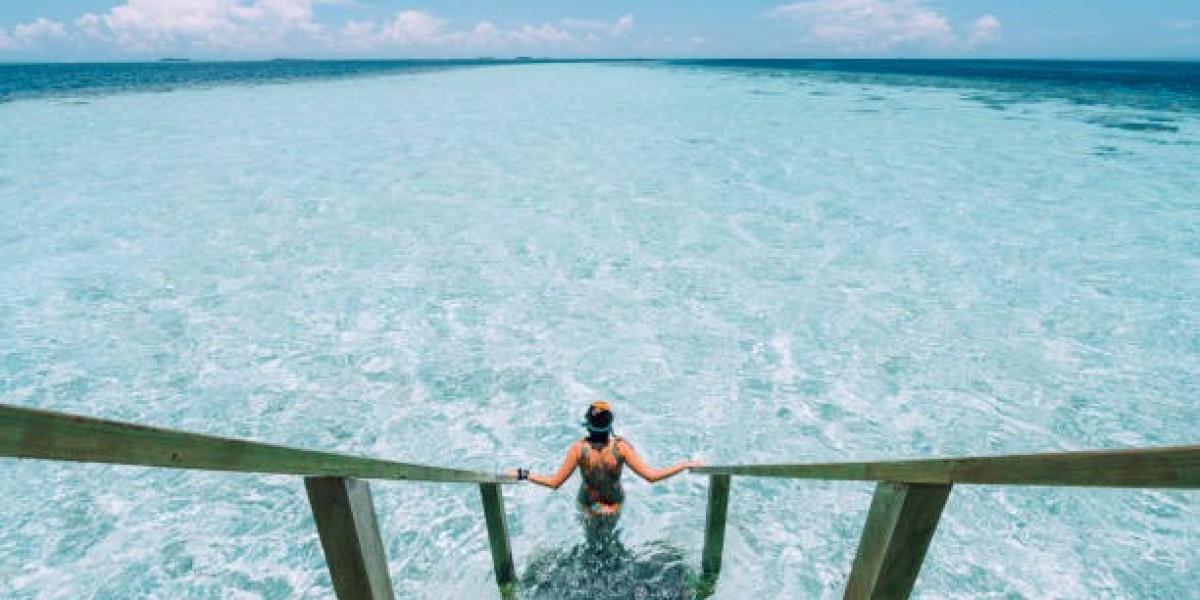 Swimwear Market Analysis: Emerging Trends, Opportunities, and Competitive Landscape