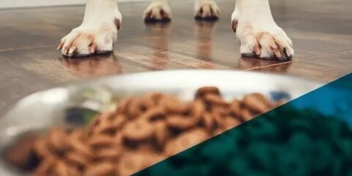 Convalescence Wet Dog Food Industry Research & Trends Analysis Report