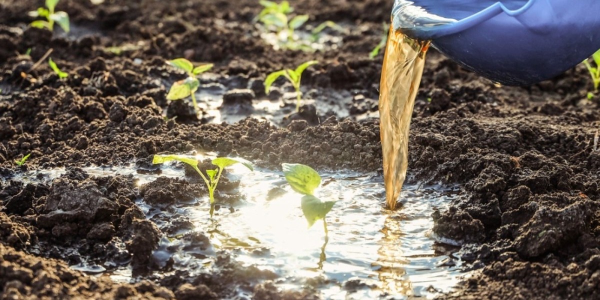 Liquid Fertilizers Market Analysis by Type and Application 2034