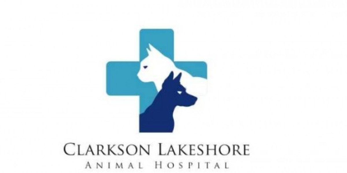 Preventive Care Habits That Support Long Term Pet Health