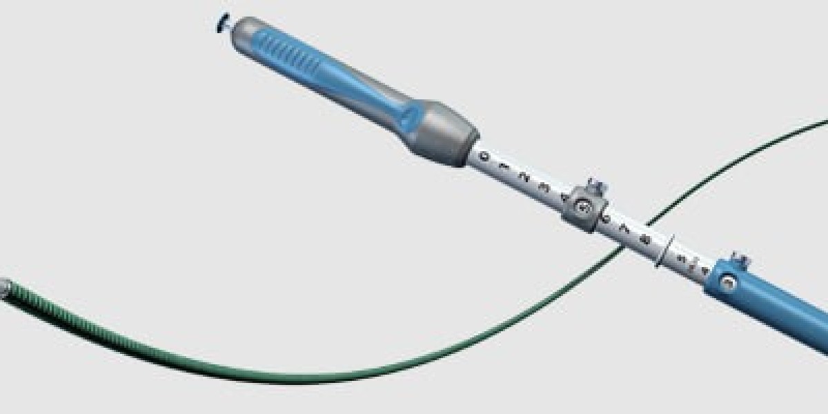 Endoscopic Ultrasound Needles Market: A Silent Enabler of High-Confidence Clinical Decisions