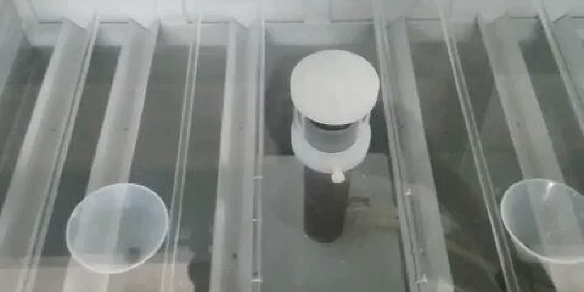 Salt Test Strips Industry Research & Trends Analysis Report