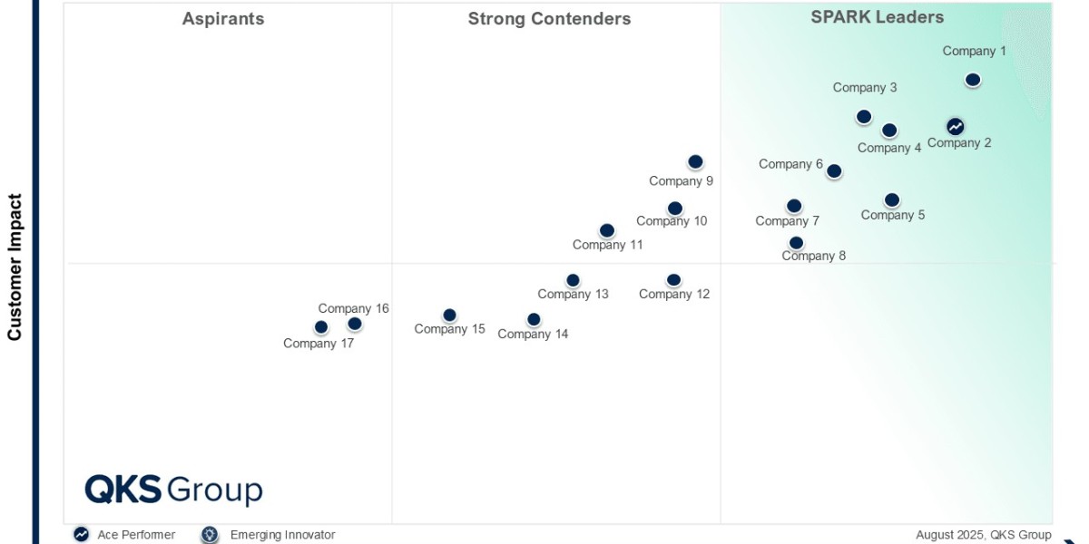 SPARK Matrix Statement of Work for Services Procurement Market Insights